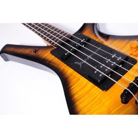 Avian CIPT Condor Bass Gitar