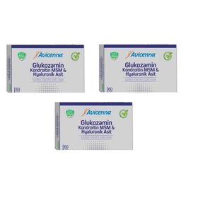 Avicenna Glukozamin Kondroitin MSM Hyaluronik Asit 3x60 Tablet