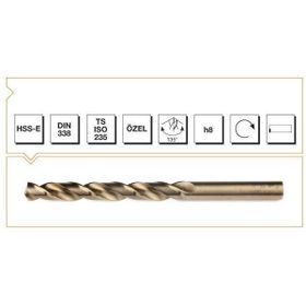 Avmdepo Makina Takım Hss-E 9 mm Gri Altın Seri Inox Delme Matkap Ucu