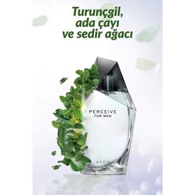 Avon Perceive Soil EDT 100 ml Erkek Parfümü