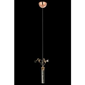 Avonni AV601481S Sarı Kaplama Modern Avize