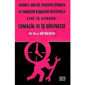 AVRUPA BİRLİĞİ PERSPEKTIFINDEN VE ENDÜSTRİ İLİŞKİLERİ BOYUTUYLA YENI İŞ KANUNU: ESNEKLIK VE İŞ GÜVENCESI - ALI RIZA BÜYÜKUSLU
