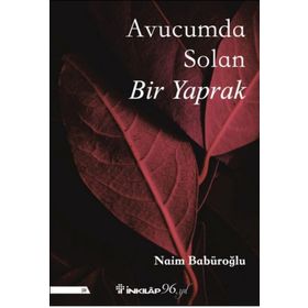 Avucumda Solan Bir Yaprak - Naim Babüroğlu