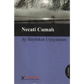 AY BÜYÜRKEN UYUYAMAM - NECATI CUMALI