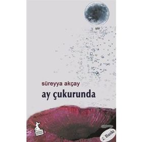AY ÇUKURUNDA - SÜREYYA AKÇAY
