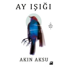 Ay Işığı - Akın Aksu