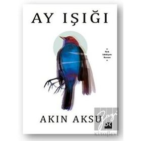 Ay Işığı - Akın Aksu