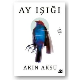 Ay Işığı - Akın Aksu