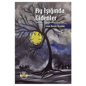 Ay Işığında Gidenler / Celal Necati Üçyıldız