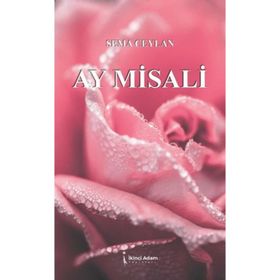 Ay Misali - Sema Ceylan - İkinci Adam Yayınları
