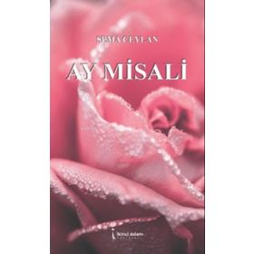 Ay Misali - Sema Ceylan - İkinci Adam Yayınları