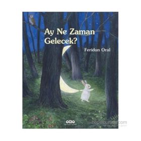 Ay Ne Zaman Gelecek - Feridun Oral