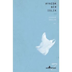 Ayazda Bir Islık - Serdar Arslan
