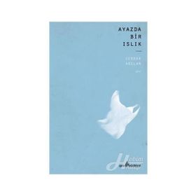 Ayazda Bir Islık - Serdar Arslan