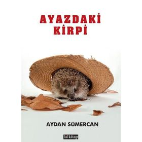 Ayazdaki Kirpi / Aydan Sümercan