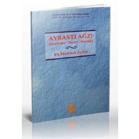 Aybastı Ağzı - Mehmet Aydın