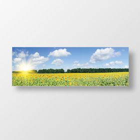 Ayçiçeği Tarlası Tablosu