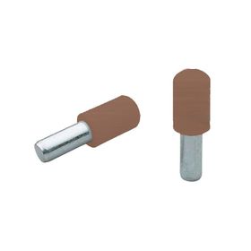 Ayder 1807-1 Kahve (25 Adet) Plastik Başlı Metal Raf Pimi