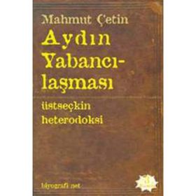 Aydın Yabancılaşması - Mahmut Çetin