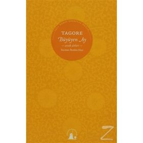 AYIN BITMEYEN ÇOCUKLUĞU - RABINDRANATH TAGORE