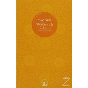 AYIN BITMEYEN ÇOCUKLUĞU - RABINDRANATH TAGORE