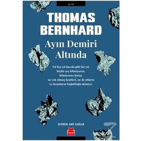 Ayın Demiri Altında - Thomas Bernhard