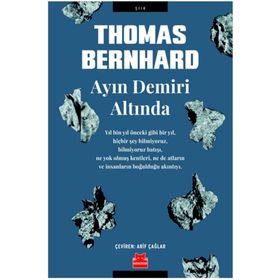 Ayın Demiri Altında - Thomas Bernhard