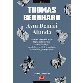 Ayın Demiri Altında - Thomas Bernhard