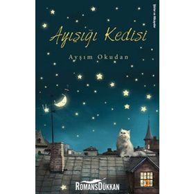Ayışığı Kedisi - Ayşım Okudan