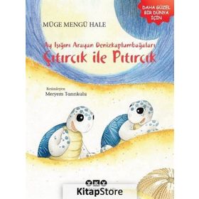 Ayışığını Arayan Denizkaplumbağaları - Müge Mengü