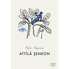 Aykırı Üçgenler - Attila Şenkon