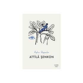 Aykırı Üçgenler - Attila Şenkon