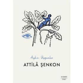 Aykırı Üçgenler - Attila Şenkon
