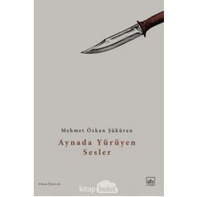 Aynada Yürüyen Sesler - Mehmet Özkan Şüküran