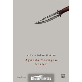 Aynada Yürüyen Sesler - Mehmet Özkan Şüküran