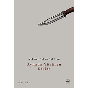 Aynada Yürüyen Sesler - Mehmet Özkan Şüküran