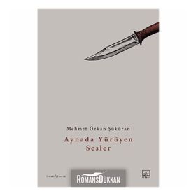 Aynada Yürüyen Sesler - Mehmet Özkan Şüküran