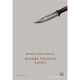 Aynada Yürüyen Sesler - Mehmet Özkan Şüküran