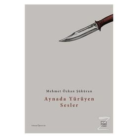 Aynada Yürüyen Sesler - Mehmet Özkan Şüküran