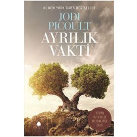 Ayrılık Vakti - jodi picolult