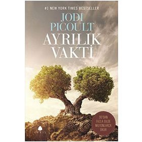 Ayrılık Vakti - jodi picolult