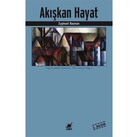 Ayrıntı Yayınları Akışkan Hayat