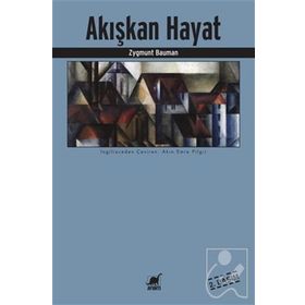 Ayrıntı Yayınları Akışkan Hayat