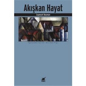 Ayrıntı Yayınları Akışkan Hayat