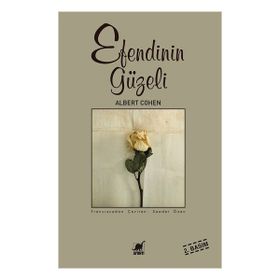 Ayrıntı Yayınları Efendinin Güzeli