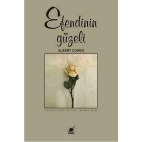 Ayrıntı Yayınları Efendinin Güzeli
