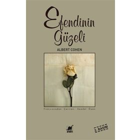 Ayrıntı Yayınları Efendinin Güzeli