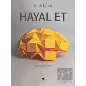Ayrıntı Yayınları Hayal Et Yaratıcılığın Sırrı Nedir?