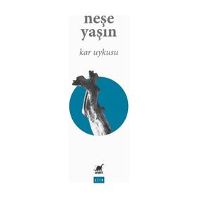 Ayrıntı Yayınları Kar Uykusu