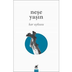 Ayrıntı Yayınları Kar Uykusu